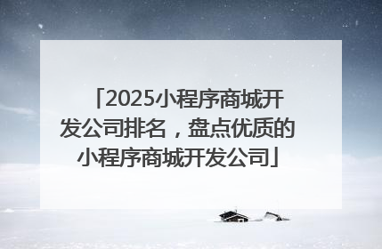 2025小程序商城开发公司排名，盘点优质的小程序商城开发公司