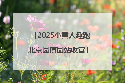 2025小黄人趣跑北京园博园站收官