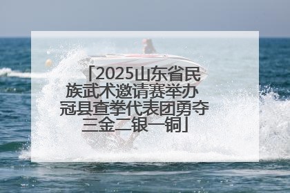 2025山东省民族武术邀请赛举办 冠县查拳代表团勇夺三金二银一铜