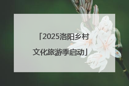 2025洛阳乡村文化旅游季启动