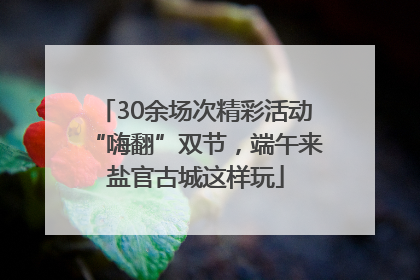 30余场次精彩活动“嗨翻”双节，端午来盐官古城这样玩