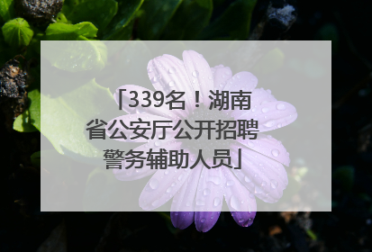 339名！湖南省公安厅公开招聘警务辅助人员
