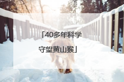 40多年科学守望黄山猴