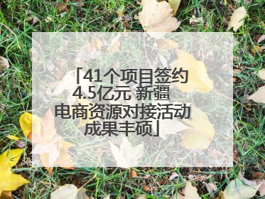 41个项目签约4.5亿元 新疆电商资源对接活动成果丰硕