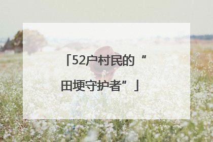 52户村民的“田埂守护者”