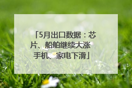 5月出口数据：芯片、船舶继续大涨 手机、家电下滑