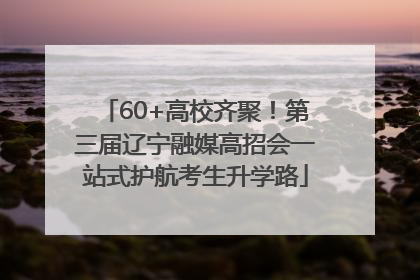 60+高校齐聚！第三届辽宁融媒高招会一站式护航考生升学路