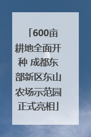 600亩耕地全面开种 成都东部新区东山农场示范园正式亮相