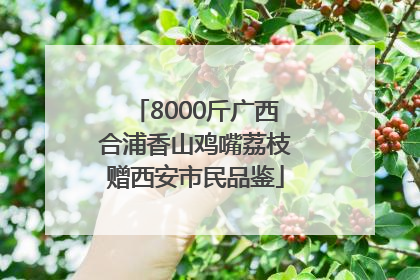 8000斤广西合浦香山鸡嘴荔枝赠西安市民品鉴