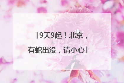 9天9起！北京，有蛇出没，请小心