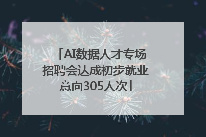 AI数据人才专场招聘会达成初步就业意向305人次